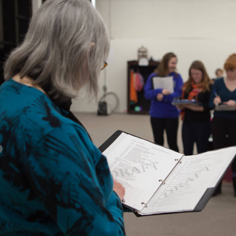 Dr. Diane Rayor Translating the Classics